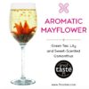  Aromatic Mayflower